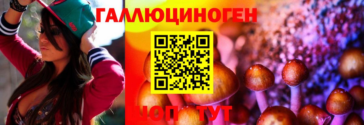 Псилоцибиновые грибы Psilocybine cubensis  Галлюциногенные грибы Magic Shrooms  Можайск  Вход с VPN 